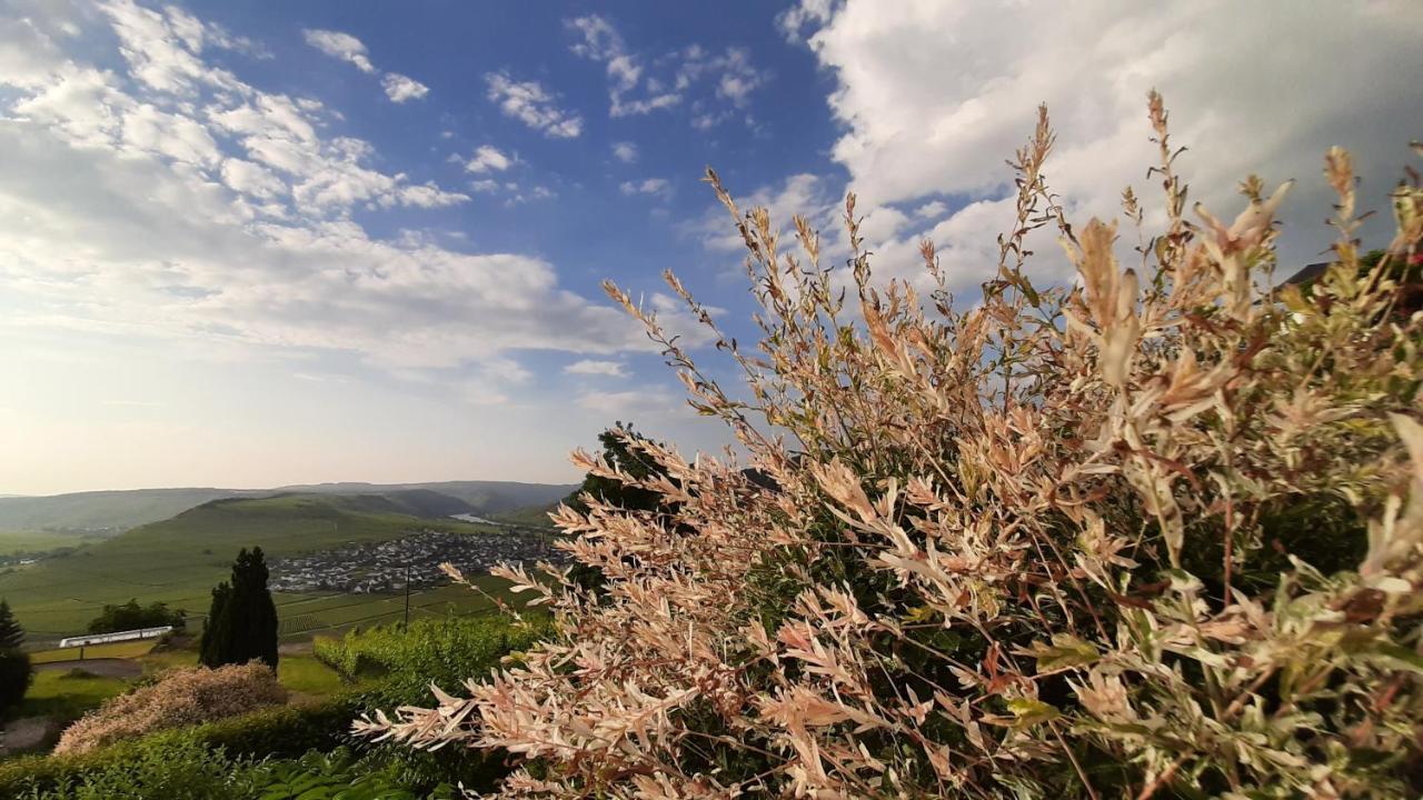 Appartamento Casa La Vino Leiwen Esterno foto